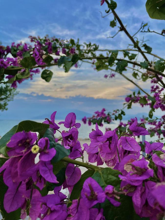 Du Lac Aparments Desenzano del Garda Eksteriør bilde